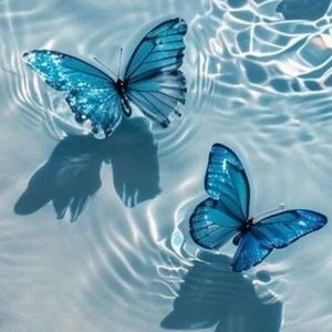 Meet your Posher, Mariposa